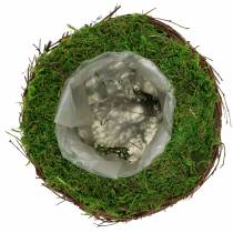 Plant bowl rattan, moss Ø16cm H11cm