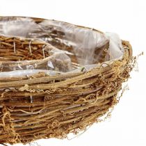 Vine plant ring, plant bowl Ø35/30cm set of 2