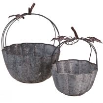 Product Plant bowl metal pumpkin decorative pot zinc Ø21/30cm set of 2pcs