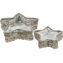 Product Plant bowl star, planter seagrass Ø32/23.5cm set of 2