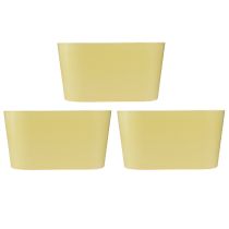 Product Plant bowl oval yellow decorative bowl plastic 20×10×11cm 3pcs
