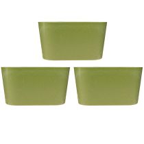 Product Plant bowl oval green bowl plastic 20×10×11cm 3pcs