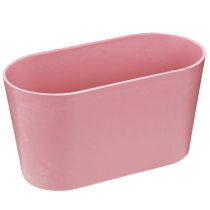 Product Plant bowl oval pink decorative bowl plastic 20×10×11cm 3pcs