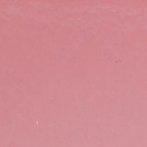 Product Plant bowl oval pink decorative bowl plastic 20×10×11cm 3pcs