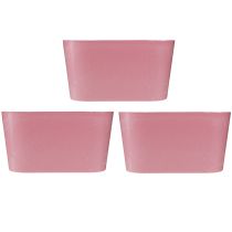Product Plant bowl oval pink decorative bowl plastic 20×10×11cm 3pcs