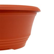 Product Plastic planting bowl Ø20cm terracotta 1pc