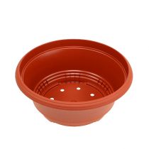 Product Plastic plant bowl Ø20cm flower bowl terracotta 5pcs