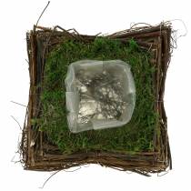Product Plant cushion rattan, moss 20cm x 20cm H8cm