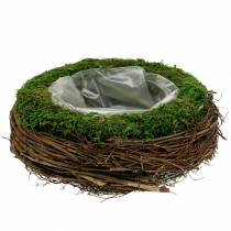 Plant bowl rattan, moss Ø26cm H9cm