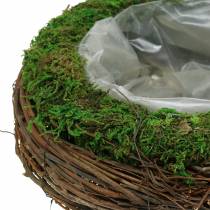 Plant bowl rattan, moss Ø26cm H9cm
