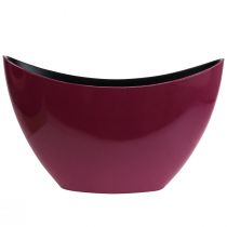 Plant boat decorative bowl bowl Berry 20×9cm H12cm