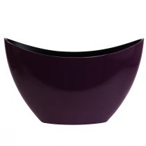 Plant boat decorative bowl purple 20×9cm H12cm