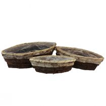 Product Plant boats wood bark 3-coloured 33.5/40/48cm set of 3