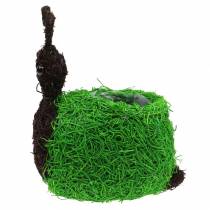 Product Planter Snail Vine Natural, Green 21x14cm H26cm