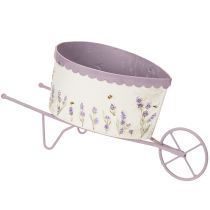 Product Flower pot wheelbarrow with stylish lavender look 46cm