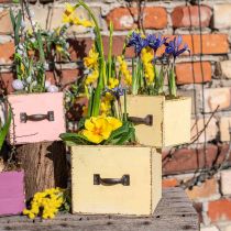 Plant drawer plant box wood yellow 12.5/16cm set of 2