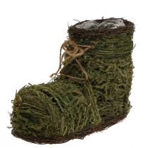 Plant pot shoe for planting moss and vine 30×14×21cm