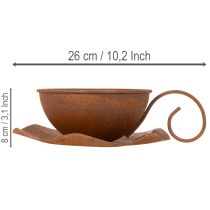Product Planting cup with saucer, plant pot, rust finish, Ø19.5cm, H8cm