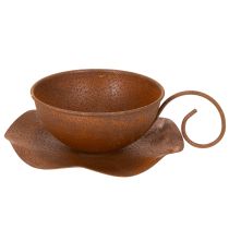 Product Planting cup with saucer, plant pot, rust finish, Ø19.5cm, H8cm