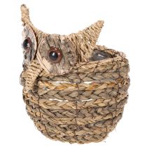 Product ProductName
Handwoven Owl Basket for Home Decoration – 18cm
ProductDescription
<h2>Handwoven Owl Basket for Home Decoration</h2>
<p>Crafted from natural water hyacinth materials, this decorative owl-shaped basket makes a charming addition to any