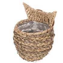 Product ProductName
Handwoven Owl Basket for Home Decoration – 18cm
ProductDescription
<h2>Handwoven Owl Basket for Home Decoration</h2>
<p>Crafted from natural water hyacinth materials, this decorative owl-shaped basket makes a charming addition to any