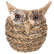 Product ProductName
Handwoven Owl Basket for Home Decoration – 18cm
ProductDescription
<h2>Handwoven Owl Basket for Home Decoration</h2>
<p>Crafted from natural water hyacinth materials, this decorative owl-shaped basket makes a charming addition to any