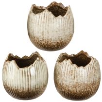 Product Plant Pot Ceramic Egg Broken Cream Brown Ø9.5cm 3 Pcs