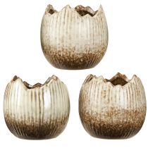 Product Plant Pot Ceramic Egg Broken Cream Brown Ø9.5cm 3 Pcs