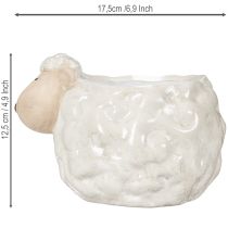Product Sheep-shaped ceramic planter, decorative plant bowl for garden and home, 2 pieces