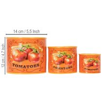 Product Tomato Plant Pot Set, Ceramic Decorative Flower Pots for Kitchen and Retro Decor, 14cm, Set of 3