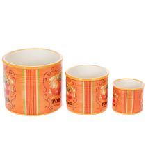 Product Tomato Plant Pot Set, Ceramic Decorative Flower Pots for Kitchen and Retro Decor, 14cm, Set of 3