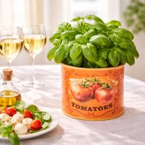 Product Tomato Plant Pot Set, Ceramic Decorative Flower Pots for Kitchen and Retro Decor, 14cm, Set of 3