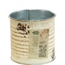 Product Plant pot decorative tin cream metal tin can Ø8cm H7.5cm