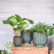 Product Plant pot, ceramic vessel, corrugated planter green, brown Ø11.5cm H12.5cm