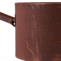 Product Plant pot metal planter rust pan decoration Ø20cm H11cm