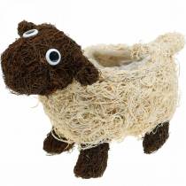 Product Plant Pot Sheep Vine Brown Bleached 35×14cm H26cm
