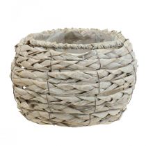 Product Plant basket flower pot rustic white washed Ø17cm H11cm