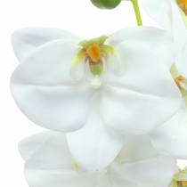 Artificial orchid branch Phaelaenopsis white H49cm