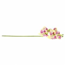 Product Artificial orchid branch Phaelaenopsis Green Pink H49cm