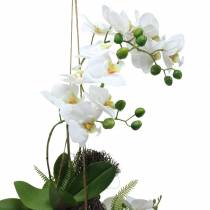 Orchid with Fern and Moss Balls Artificial White Hanging 64cm