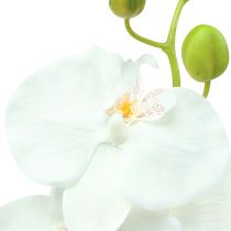 Orchid Phalaenopsis artificial white 80cm