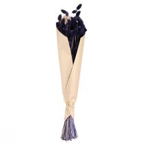 Product Phalaris Violet Dried Decorative Grass 50-55cm 100g