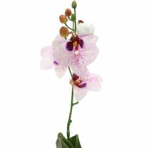 Artificial orchid phaleanopsis white, purple 43cm