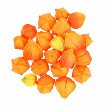 Product Physalis Orange Assorted 22pcs Decorative Artificial Flower Calyxes