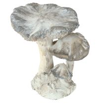 Product Mushroom decoration cast stone gray white washed 21.5×18×22cm
