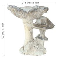 Product Mushroom decoration cast stone gray white washed 21.5×18×22cm