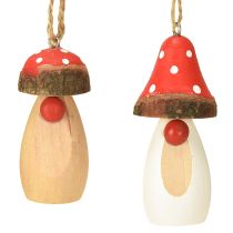 Product Mushroom for hanging wood white, brown assorted 6.5/8cm 8 pcs
