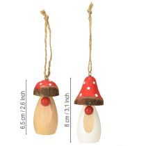 Product Mushroom for hanging wood white, brown assorted 6.5/8cm 8 pcs