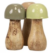 Product Wooden mushrooms decorative mushrooms wood beige, green Ø5cm H10.5cm 6pcs