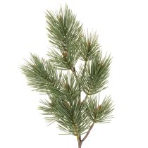 Product Artificial Pine Twig Set, 55cm, Pack of 3, Green
```html
<h2>Artificial Pine Twig for Festive Decoration</h2>
<p>
This artificial pine twig set includes three green branches, each 55cm long. Designed for indoor use, these plastic pine twigs bring a real